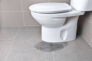 Leia mais sobre o artigo Empresa para Encontrar Vazamento de Água no Banheiro